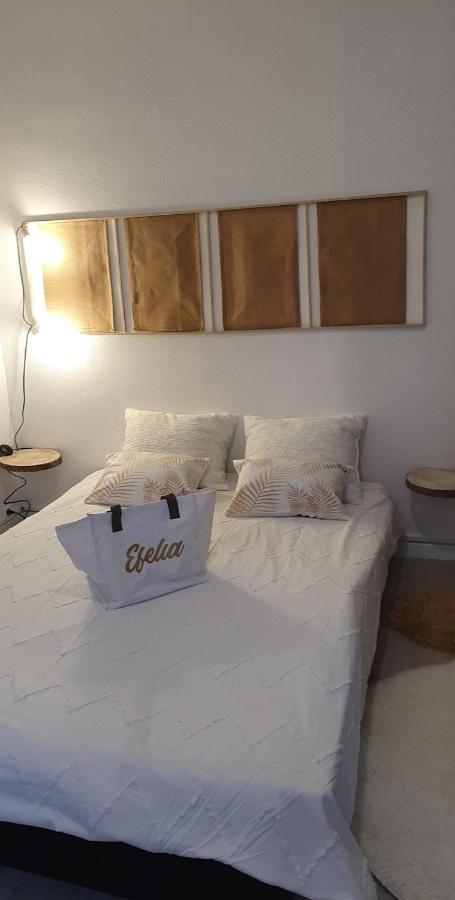 Maison Cosy Paris Orly Jardin Privee ヴィトリー・シュル・セーヌ エクステリア 写真